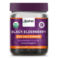 RODRAX® GaiaKids® Black Elderberry Kids Daily Gummies